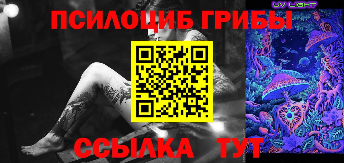Галлюциногенные грибы Psilocybe Красноперекопск